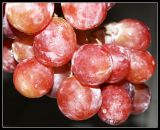 Grapes by Lux2.jpg