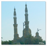 Mosque-Jumairah.jpg