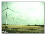 windmills.jpg