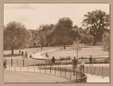 Memorial Fountain-Hyde Park
