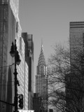 IMG_1892.JPG