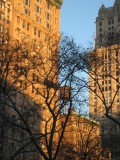 IMG_1832.JPG