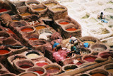 img019.jpg