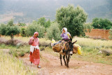 img008.jpg