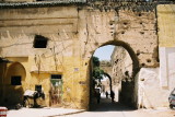 img002.jpg