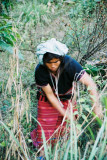 img024.jpg
