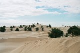 FH000001.JPG