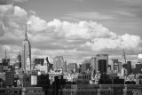 DSC_0849.JPG