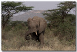 Kenia_00205.jpg