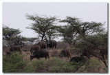 Kenia_00212.jpg