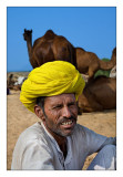 Camel Trader 47