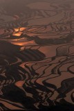 Yuanyang Terraced Fields