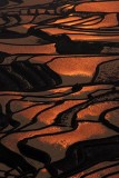 Yuanyang Terraced Fields