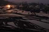 Yuanyang Terraced Fields