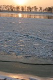 IMG_8193.jpg
