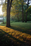 Kenilworth Aquatic Gardens