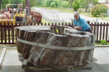 Huon Pine Stump