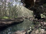 Scotts Creek