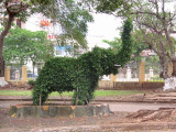 Green elephant