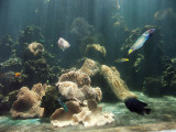 Deep tank  1