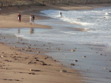 Sand-surfers and exposed stones