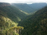 Valley below Fitzroy Falls