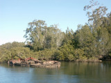 Derelict Barge