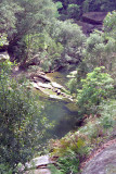 The Fishponds