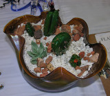 Filips Cactus Bowl