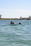 Rescue Diver Training