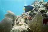Key Largo