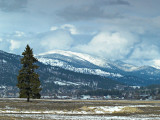 Colville Flood Plain