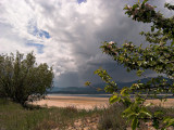 Apple Blossoms, Lake Roosevelt