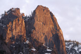 Yosemite 2007-03-09_146.jpg
