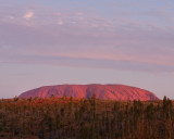 Uluru-Kata Tjuta D1 2007-07-20_087.jpg