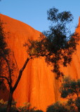 Kata Tjuta-Uluru D2 2007-07-21_059.jpg