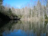 Transylvania Co. Pond