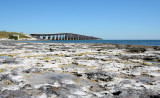 Tidal Pools and Bridge