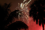 4th of July Palms - Lauderhill, FL