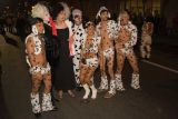 Two Groups Of 101 Dalmatians