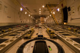 Inside The Belly Of The Whale