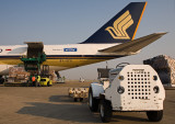 Loading The Lady