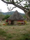 DSC00975.jpg