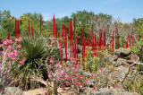 Chihuly At Fairchild Gardens 07_051.JPG