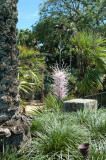 Chihuly At Fairchild Gardens 07_056.JPG