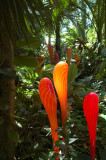 Chihuly At Fairchild Gardens 07_069.JPG