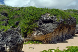 WWII Japanese Pillbox on Tank Beach