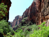 Canyon at Zion Park