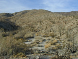 View from my camp in Anza