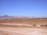 Desert landscape